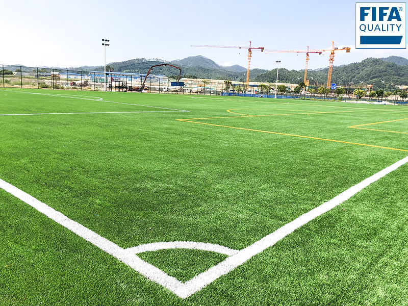 廣州中新知識城FIFA認證場地