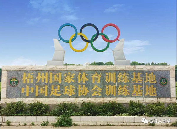 重大消息! ｜傲勝股份建設的兩片國家級場地獲得FIFA QUALITY認證