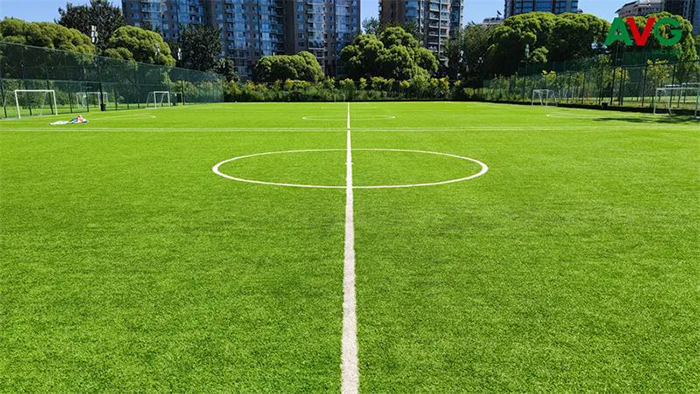 體育公園該如何建設？