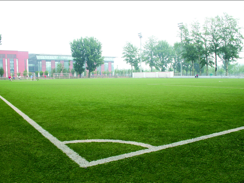 北京體育大學800x600.jpg