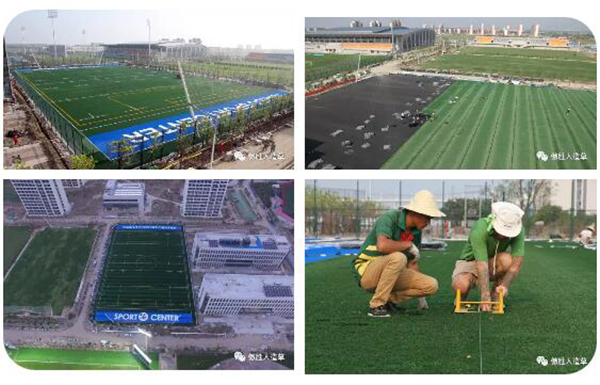 團泊橄欖球場地 團泊橄欖球場地