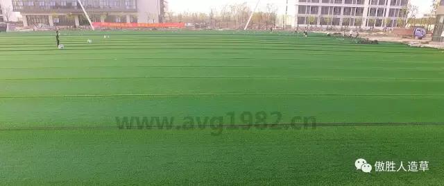 橄欖場地施工流程4 橄欖場地施工流程4
