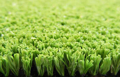網球草 網球草