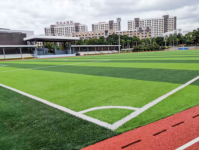 運動場地 運動場地