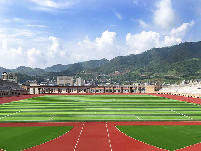 足球場(chǎng)人造草坪 足球場(chǎng)人造草坪