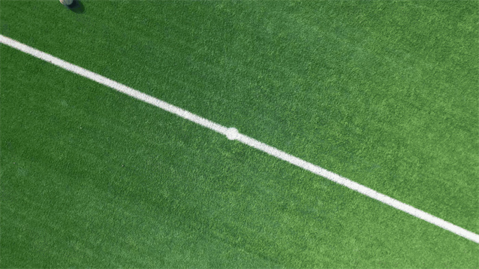 7000101.jpg